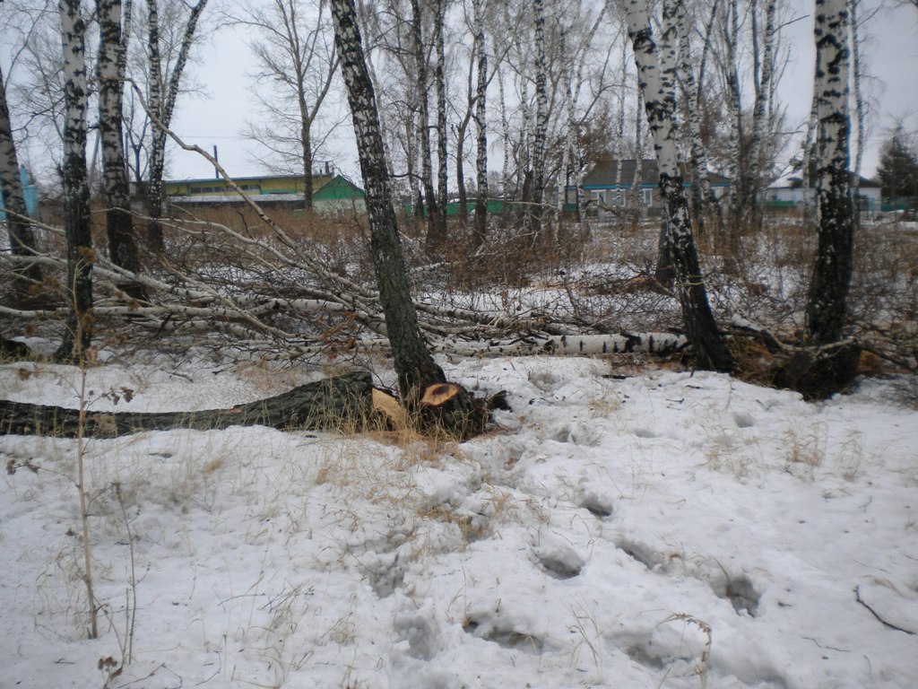 Открыть оригинальное изображение